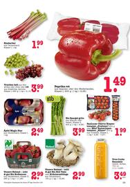 Scheck-in-Center Prospekt woche 20 Seite 15
