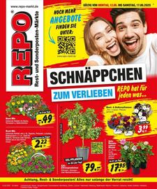 Repo Markt Prospekt woche 20 Seite 1