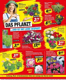 Repo Markt Prospekt woche 20 Seite 2