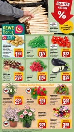 REWE Prospekt woche 20 Seite 7