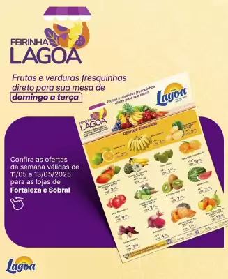 Catálogo Super Lagoa