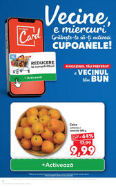 Catalog Kaufland săptămâna 20 Pagină 2