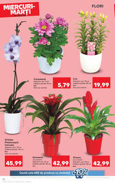 Catalog Kaufland săptămâna 20 Pagină 26