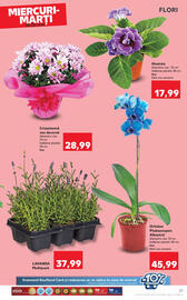 Catalog Kaufland săptămâna 20 Pagină 27