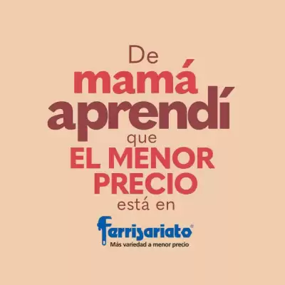 Catálogo Ferrisariato (válido hasta 11-05)