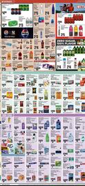 Almonte's Food Dynasty Marketplace Weekly Ad week 19 Page 5