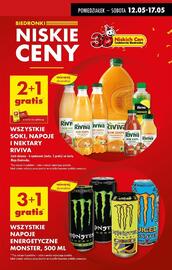 Biedronka gazetka tydzień 20 Strona 13