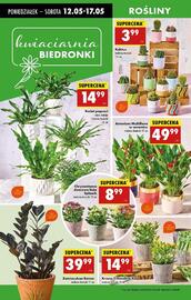 Biedronka gazetka tydzień 20 Strona 3