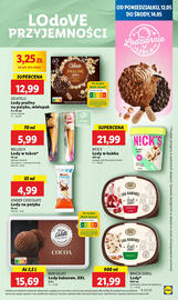 Lidl gazetka Strona 49