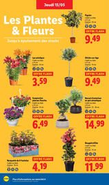 Catalogue Lidl semaine 20 page 28