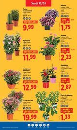 Catalogue Lidl semaine 20 page 29