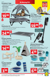 Lidl Flugblatt woche 20 Seite 33