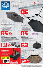 Lidl Flugblatt woche 20 Seite 24