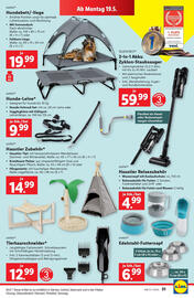 Lidl Flugblatt woche 20 Seite 33