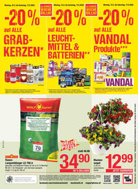 Maximarkt Flugblatt woche 20 Seite 24
