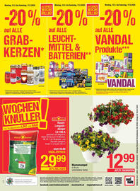 Maximarkt Flugblatt woche 20 Seite 24