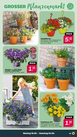 NETTO Prospekt woche 21 Seite 9