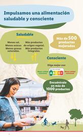 Folleto Lidl semana 21 Página 16
