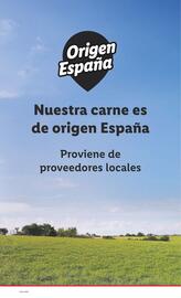 Folleto Lidl semana 21 Página 30
