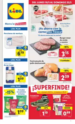 Folleto Lidl (válido hasta el 25-05)