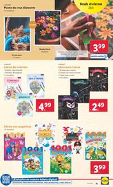 Folleto Lidl semana 21 Página 11
