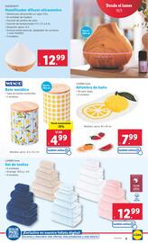 Folleto Lidl semana 21 Página 3