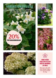 Blomsterlandet reklamblad vecka 20 Sida 4