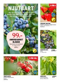 Blomsterlandet reklamblad vecka 20 Sida 7