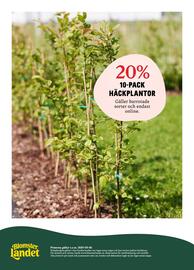 Blomsterlandet reklamblad vecka 20 Sida 9