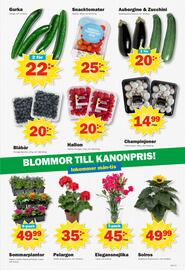 Pekås reklamblad vecka 20 Sida 5