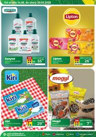 Tamda Foods leták týden 20 Strana 22