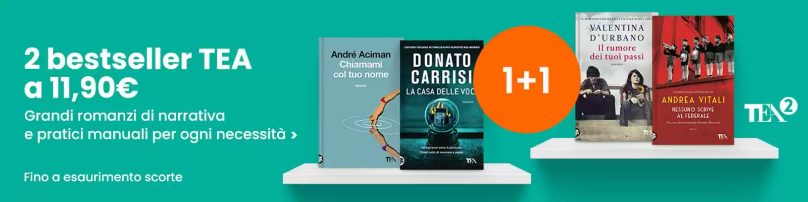 Volantino Il Libraccio