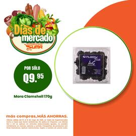 Folleto Suma Supermercados semana 20 Página 4