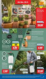 Lidl Prospekt woche 22 Seite 7