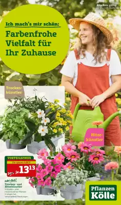 Pflanzen Kölle Prospekt (gültig bis 18-05)