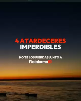 Catálogo Plataforma 10 (válido hasta 25-05)