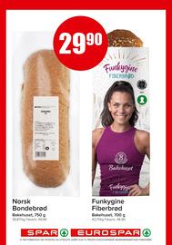Eurospar Kundeavis uke 20 Side 13