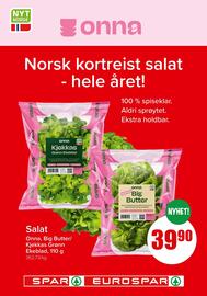 Eurospar Kundeavis uke 20 Side 14