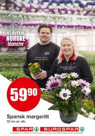Eurospar Kundeavis uke 20 Side 17