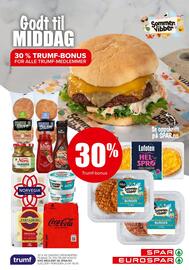Eurospar Kundeavis uke 20 Side 19