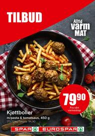 Eurospar Kundeavis uke 20 Side 8