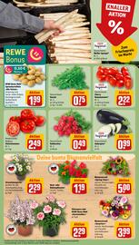 REWE Kaufpark Prospekt woche 20 Seite 5