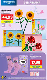Lidl gazetka tydzień 21 Strona 24