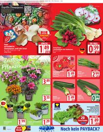EDEKA Stralsund Prospekt woche 20 Seite 2