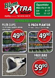 Extra Mjällby Stormarknad reklamblad vecka 20 Sida 13