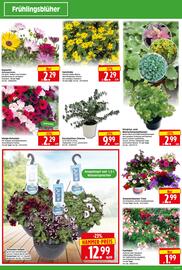 Herkules Baumarkt Prospekt woche 20 Seite 2