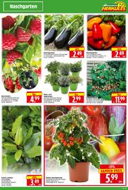 Herkules Baumarkt Prospekt woche 20 Seite 3