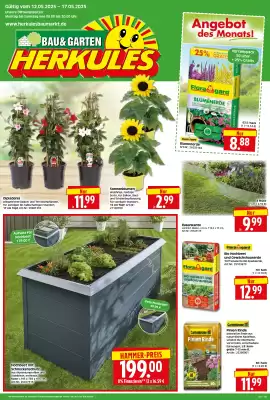 Herkules Baumarkt Prospekt (gültig bis 17-05)
