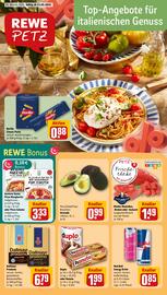 REWE PETZ Prospekt woche 20 Seite 1
