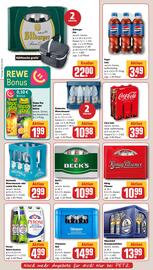 REWE PETZ Prospekt woche 20 Seite 16